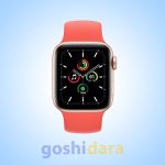 2021 APPLE WATCH SE7 2021 44MM