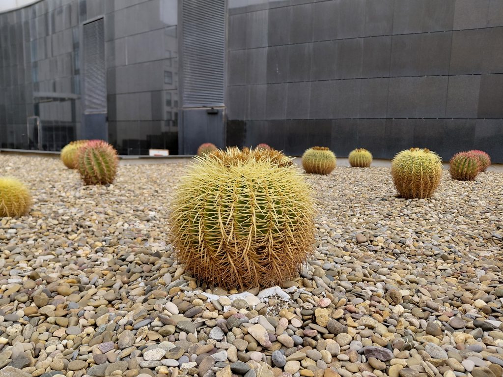 بررسی دوربین گوشی سامسونگ A36